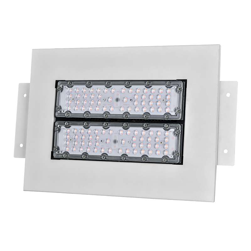 N01180  Canopy light