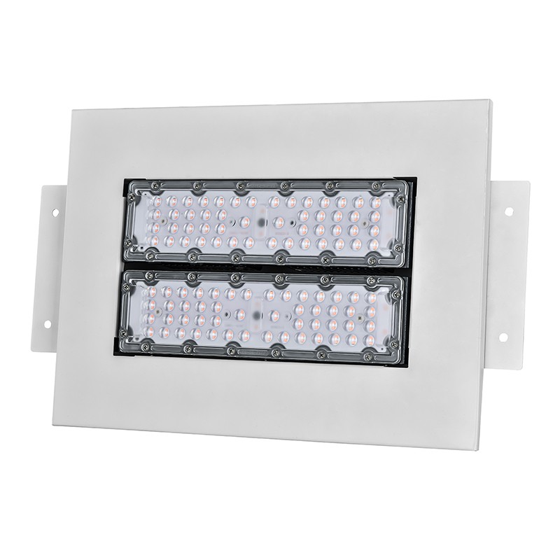 N01180  Canopy light