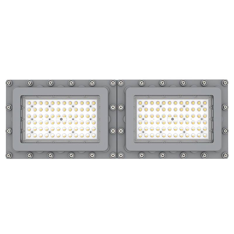N01210  LED linear lighting fixtures for hazardous areas