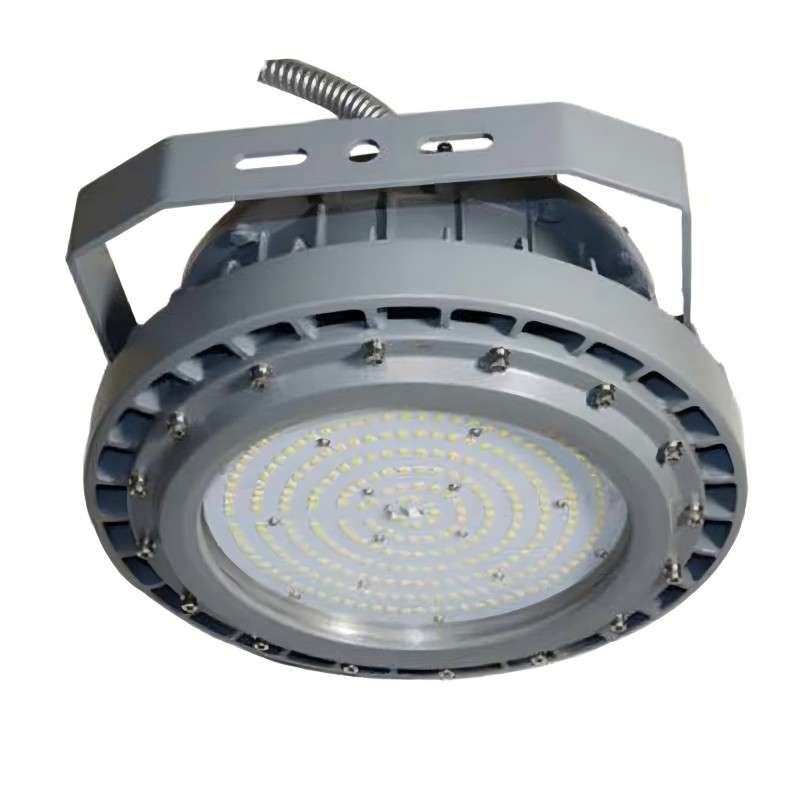 N01220  100W explosion-proof lamp