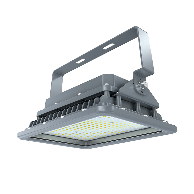 N01230  60W explosion-proof floodlight