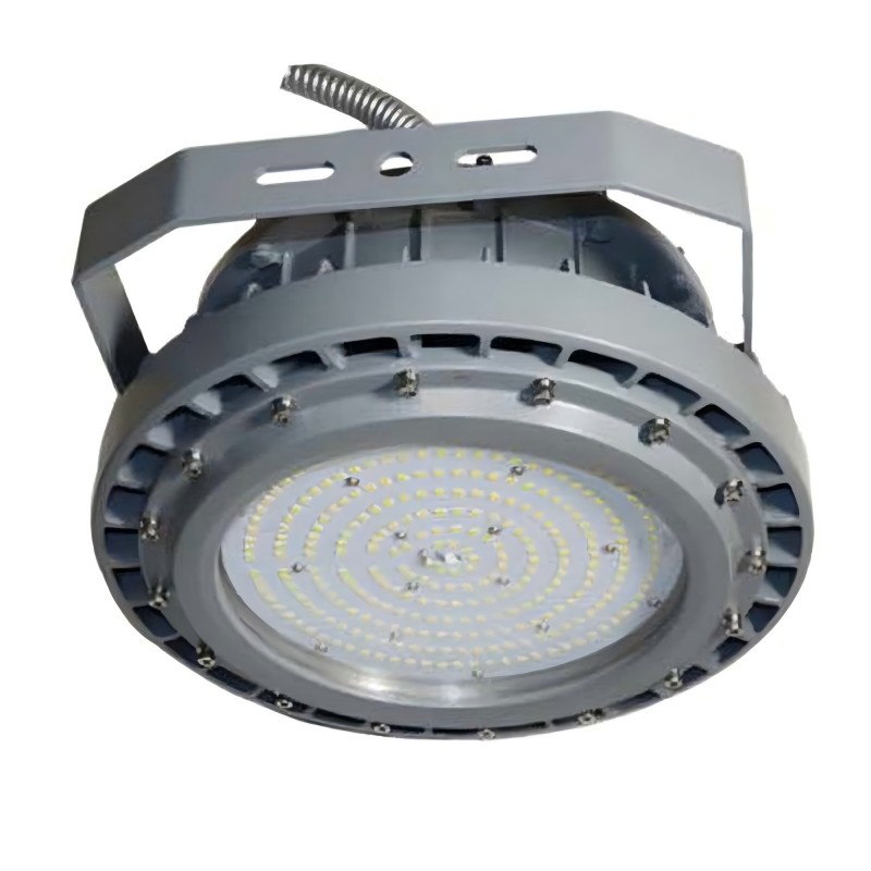 N01220  100W explosion-proof lamp